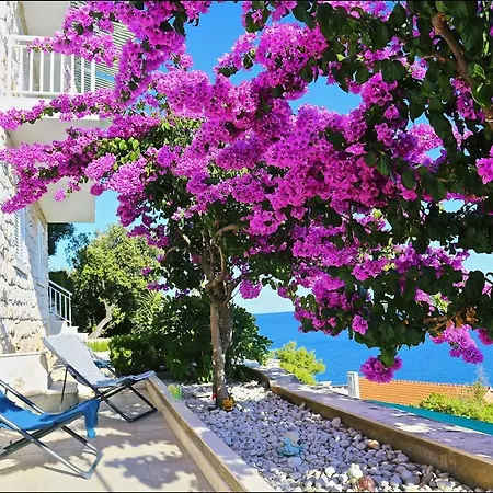 Apartment Apartments By The Sea Prizba, Korcula - 9255 Prizba